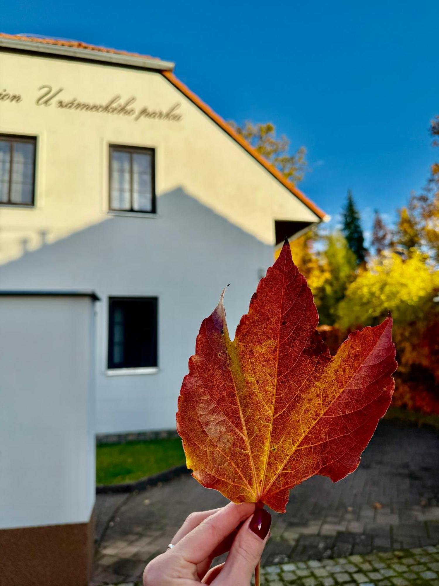 Penzion U Zameckeho Parku Trebon Bagian luar foto