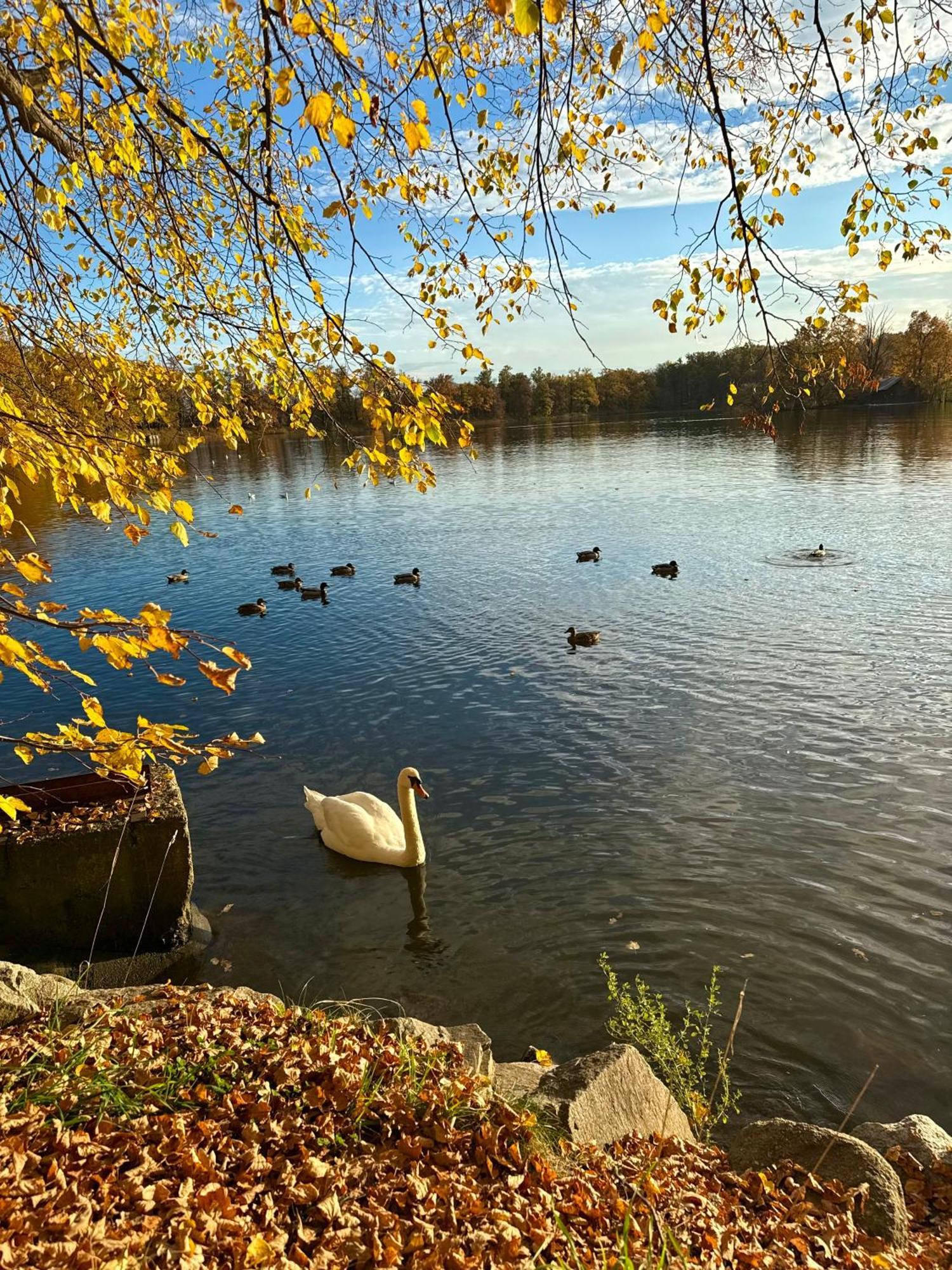 Penzion U Zameckeho Parku Trebon Bagian luar foto